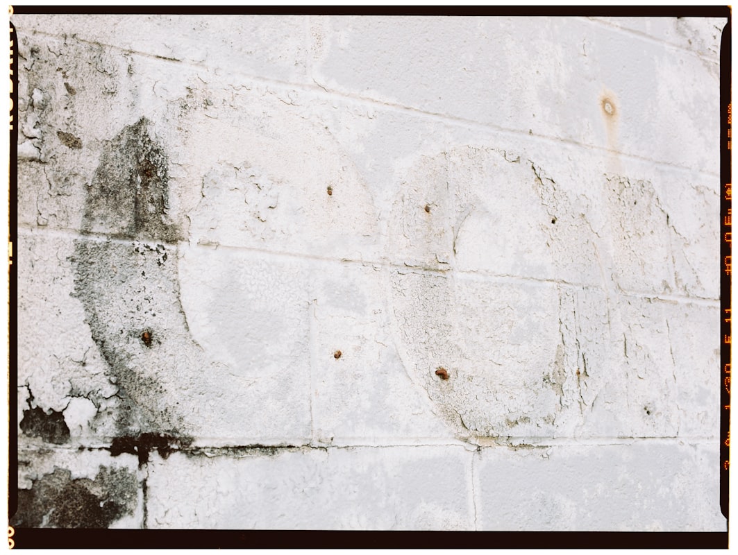 Sewage Cleanup service in Champaign, IL