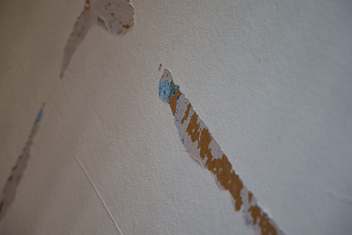 Flood Cleanup service in Champaign, IL